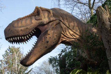 Hertfordshire, İngiltere - 25 Şubat 2026: İngiltere 'deki Hertfordshire Hayvanat Bahçesi' nde Dinozor Dünyası alanında sergilenen bir Tyrannosaurus Rex dinozorunun heykeli.