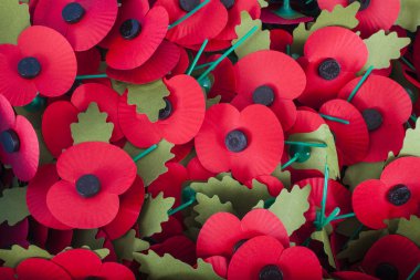 Remembrance Day Poppies clipart