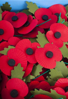 Anma Günü haşhaş