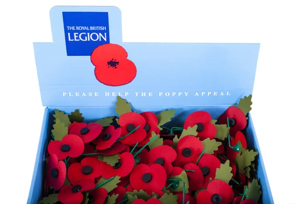 The Royal British Legion Poppy Appeal — Stock fotografie