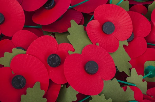 Remembrance Day Poppies — Stock Photo, Image