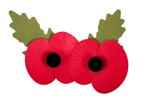 Remembrance Day Poppies — Stock Photo, Image