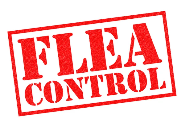 Резиновая марка FLEA CONTROL — стоковое фото