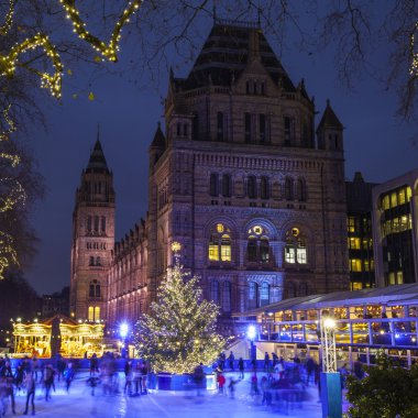 Londra'nın doğal tarih Müzesindeki Noel buz pateni pisti