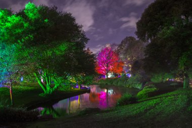 Syon Park büyülü Woodland