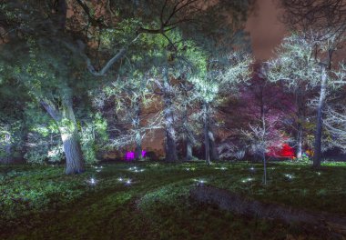 Syon Park büyülü Woodland