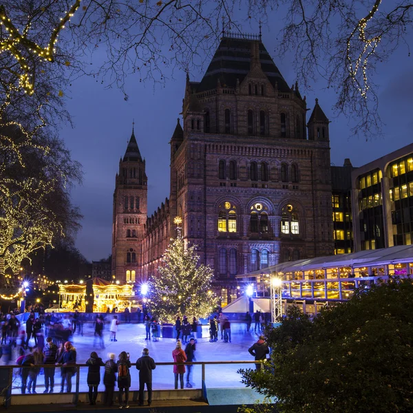 Pista de gelo de Natal no Museu de História Natural em Londres — Fotografia de Stock