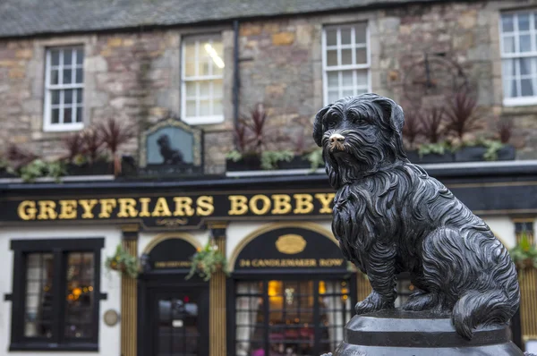 Greyfriars Bobby Edinburgh-ban — Stock Fotó