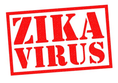 zika virüs pencere boyutu