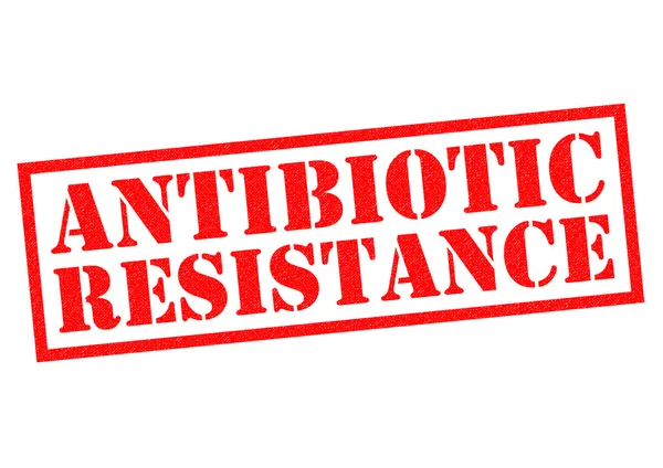 RESISTENZA ANTIBIOTICA Timbro di gomma — Foto Stock