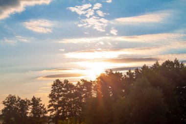 Ormanda şafak vakti, yükselen güneş ağaç tepelerini, bulutları ve gökyüzünü farklı tonlarda aydınlatır.