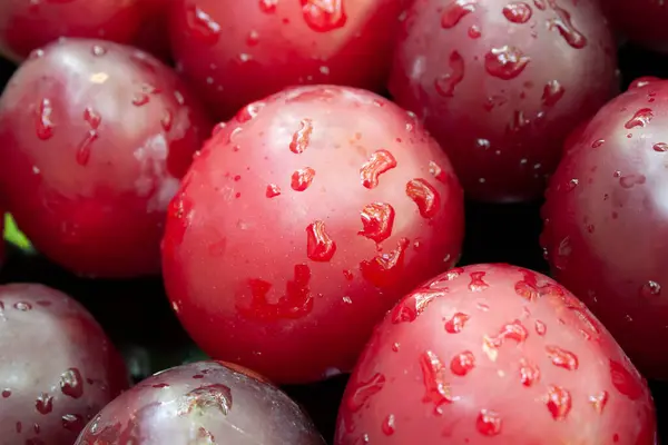 Büyük kırmızı ve bordo olgun erikler. Siyah bir arkaplanda su damlaları var.