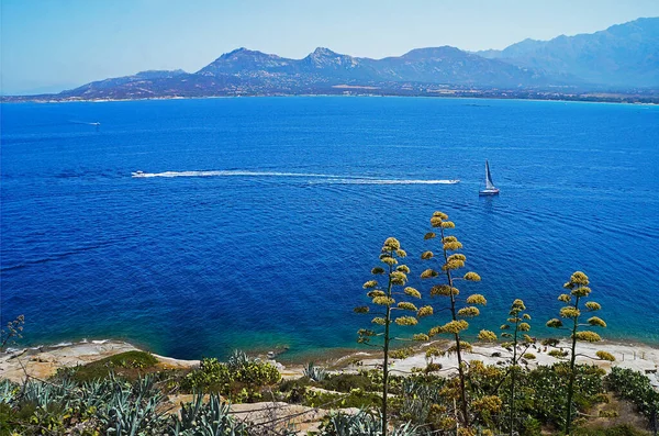 Yate Dos Lanchas Bahía Cerca Ciudad Calvi Córcega Francia —  Fotos de Stock