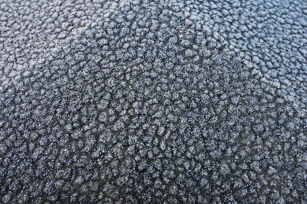 Θραύσμα Τσιμεντένιου Φράκτη Καλυμμένο Παγωνιά Ένα Παγωμένο Πρωινό Επιλεκτική Εστίαση — Φωτογραφία Αρχείου