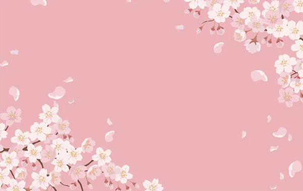 นหล งดอกไม ดอกเชอร ในบล มเต ปแบบบนพ นหล ชมพ ภาพวาดเวกเตอร วยพ — ภาพเวกเตอร์สต็อก