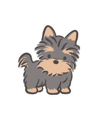 Şirin Fluffy Yorkshire Terrier Köpeği. Vektör Resimleri Beyaz Arkaplanda İzole Edildi.