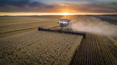 Wide angle view of a combine harvester harvesting wheat on a wheat field on a farm in the Swartland in the Western Cape of South Africa clipart