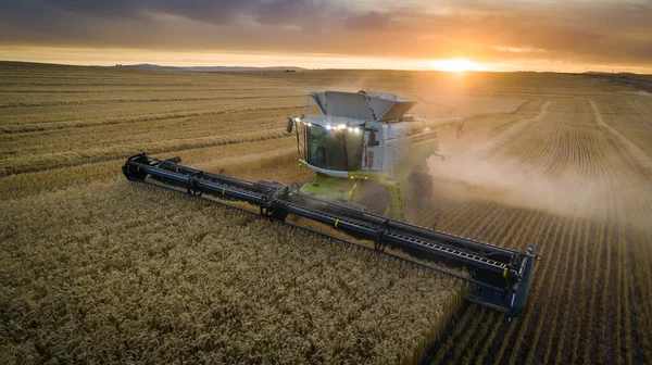 Wide Angle View Combine Harvester Harvesting Wheat Wheat Field Farm — Stock Photo, Image