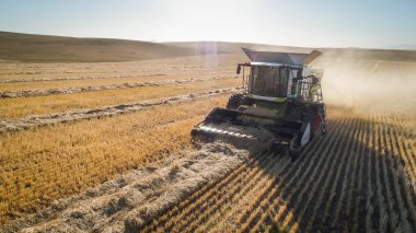 Güney Afrika 'nın Batı Burnu' ndaki Swartland 'daki bir çiftlikte buğday tarlasında buğday hasat eden bir biçerdöveri geniş açılı görüş.