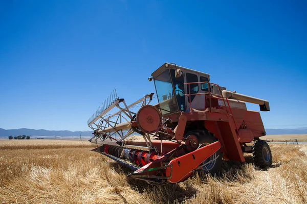 Wide Angle View Combine Harvester Harvesting Wheat Wheat Field Farm Royalty Free Stock Images