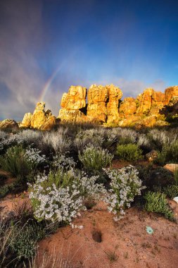 Güney Afrika 'daki Güney Cederberg' in kumtaşı kaya oluşumlarının üzerinde bir gökkuşağı ile gün doğumu