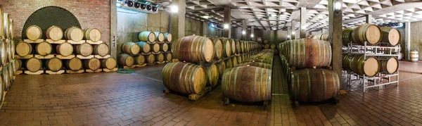 Panoramic View Wine Cellar Oak Wine Barrels Full Aging Red — Stock Photo, Image