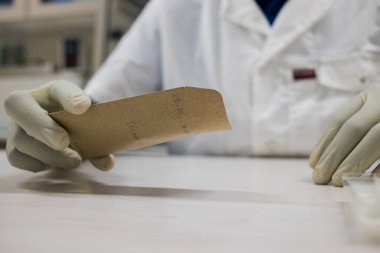 Bilimadamı bir laboratuarda araştırma yapıyor.