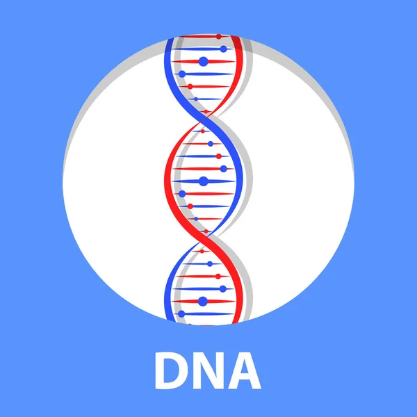Adn Icône Molécule Hélice Spirale Science Médicale Biotechnologie Génétique Biologie — Image vectorielle