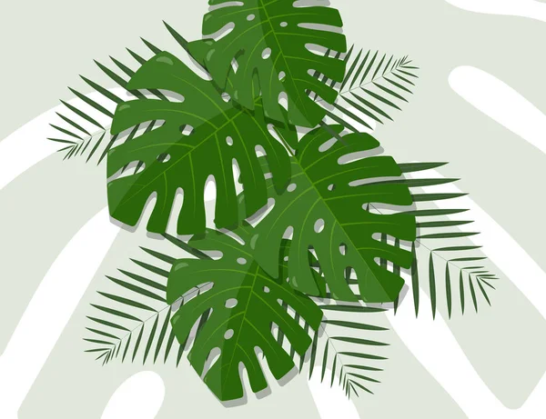 Hojas Palma Tropical Hoja Selva Vector — Vector de stock