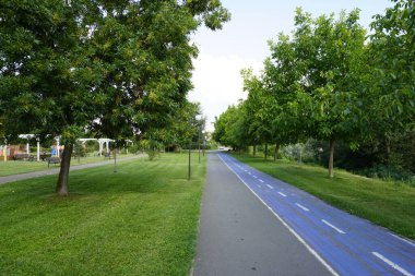 Parkta bisiklet yolu