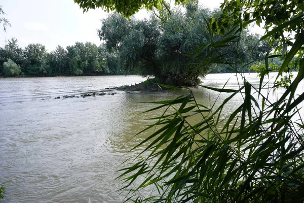 Romanya Daki Nehrin Fotoğrafı Güzel Doğal — Stok fotoğraf