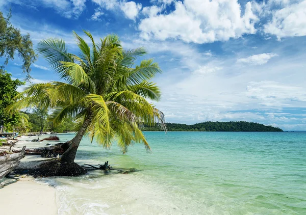 Quiet empty paradise beach in koh rong near sihanoukville cambod — Stock Photo, Image