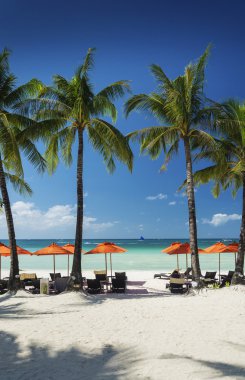 ana plaj tropikal cennet Boracay Adası Filipinler