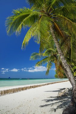 boş egzotik tropik cennet boracay Adası Filippi Beach'de