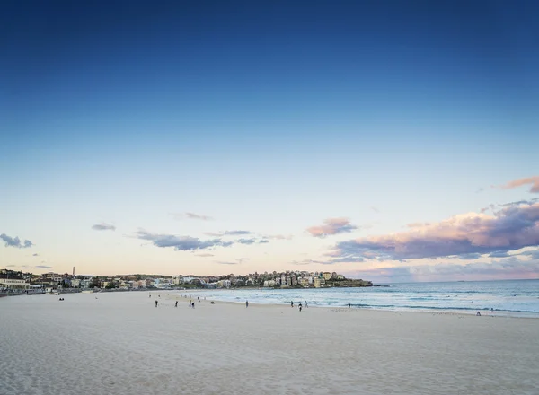 Bondi beach view at sunset dusk near sydney australia — Stock Photo, Image