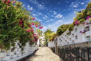 los gigantes konut çiçekli sokakta alan tenerife İspanya