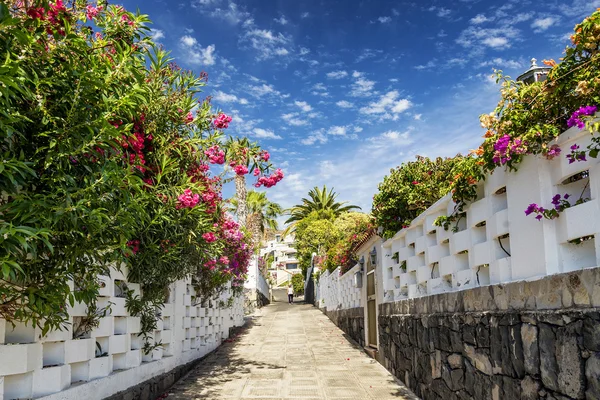 Flowered alley in los gigantes residential area tenerife spain — Stock Photo, Image