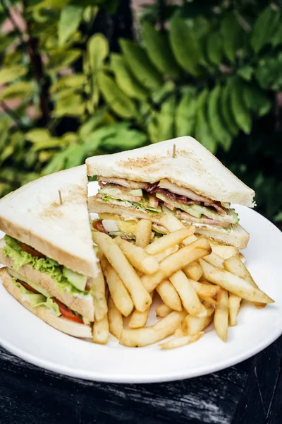 Club sandwich mellanmål med pommes frites på tallrik — Stockfoto