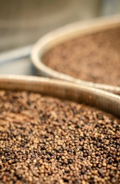 Kamboçya 'daki kurutma odasındaki Kampot organik biber tepsilerinin detayları