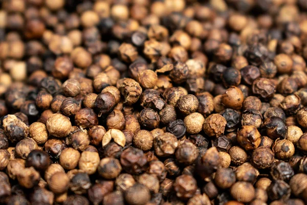 Close Kampot Organic Pepper Peppercorns Drying Sun Cambodia Stock Photo