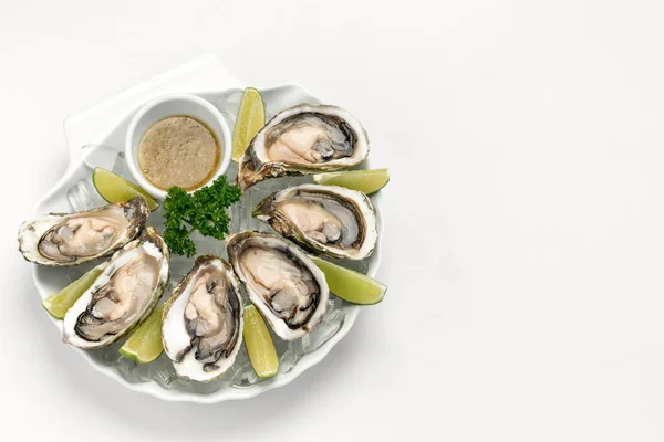 六只新鲜的牡蛎 配石灰片和柑橘醋酸盐酱 — 图库照片