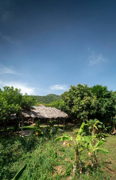 Traditionell Halmhalsad Bungalow Tropisk Frukt Gård Plantage Nära Kampot Cambodia — Stockfoto