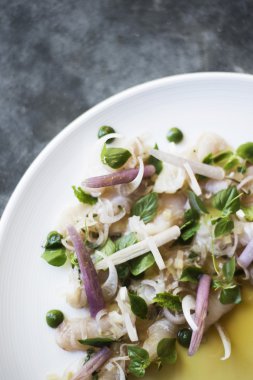 Marine ton balığı, sebze ve ot salatası