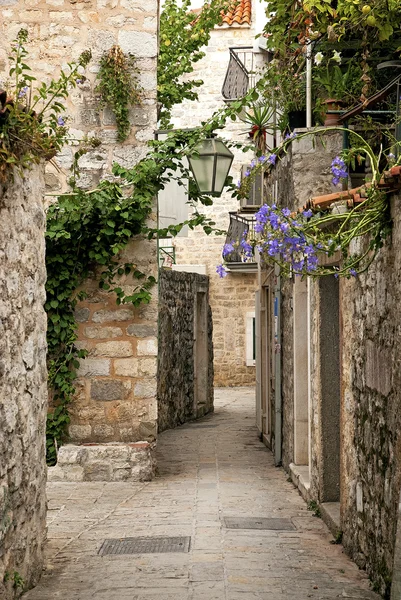 Budva altstadt gepflasterten straße in montenegro — Stockfoto