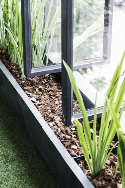 modern mimarinin en az tarzı penceresi ve bitkiler detay