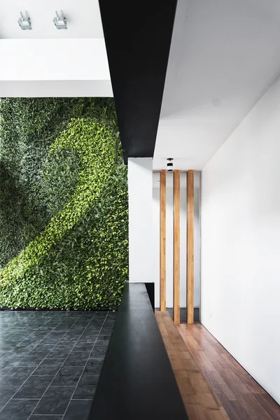 Modern arkitektur minimalistisk stil interiör med vertikala trädgården Stockbild