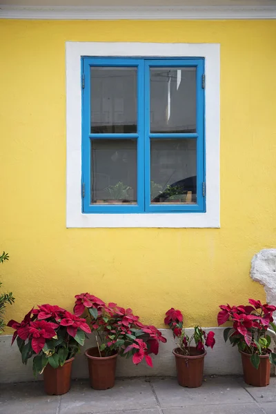 Portugisiska stilen färgglada fönster i taipa macau — Stockfoto