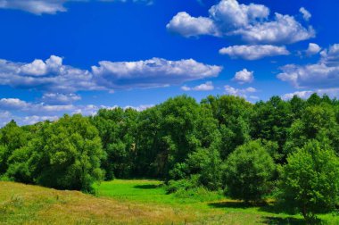 Yaz kırsal arazisi, kır çiçekli çayır, gökyüzü ve bulutlu manzara.
