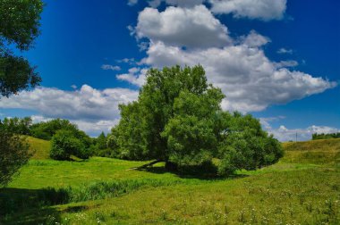 Yaz kırsal arazisi, kır çiçekli çayır, gökyüzü ve bulutlu manzara.