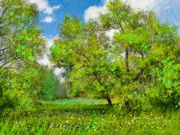Картины Маслом Сельский Пейзаж Цветы Поле Весенний Луг Цветами — стоковое фото
